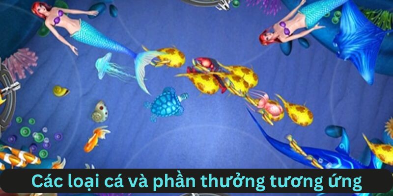 Phân loại cá và những phần thưởng